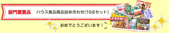 ハウス食品商品詰め合わせ(10点セット)